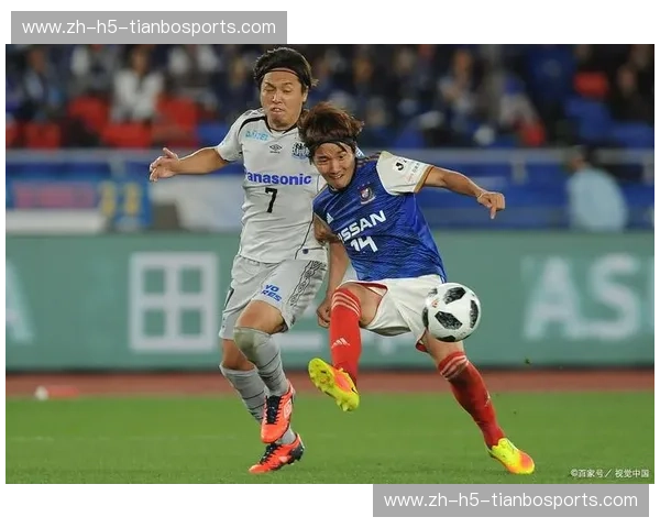 金泽vs爱媛：一场横跨北陆与四国的感官博弈，谁才是日系美学的终极注脚？